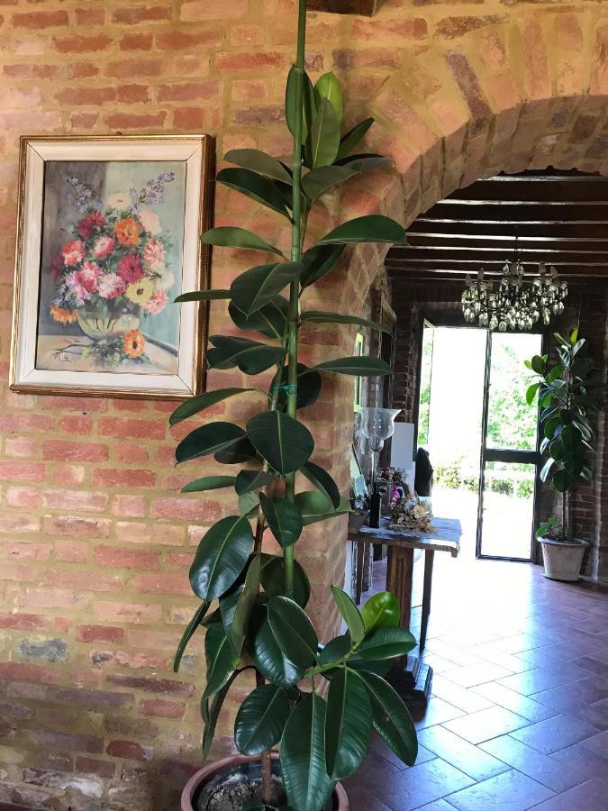 Agriturismo La Collina Del Sole Villa Varano Marchesi Exterior photo